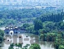 大象煮伊2022视频-探索大象煮伊2022视频背后的文化与创意