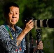 精品人妻少妇一区二区三区不卡-探索多元生活的美好，从精品人妻到少妇的温柔蜕变