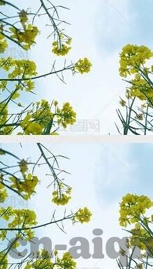 麻豆啊传媒app黄版破解免费-探索不为人知的角落，自由访问网络媒体内容的误区