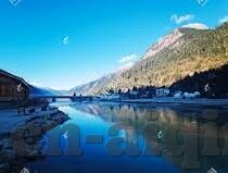 麻豆传媒网站入口下载-挥别不良诱惑，寻找网络世界的正面导航