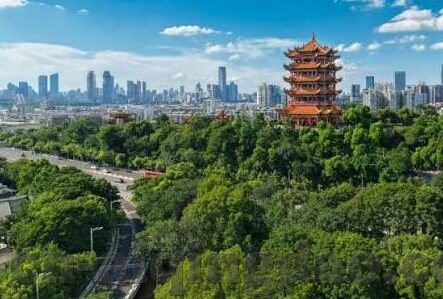 麻豆短视频app-激情与挑战并存的创意平台，麻豆短视频APP