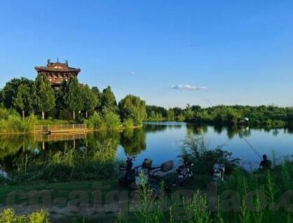 麻豆网站小视频-窥视与反思，麻豆网站小视频现象的背后