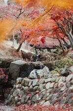 内地av麻豆-内地AV麻豆现象的多维透视，伦理、法律与文化背景