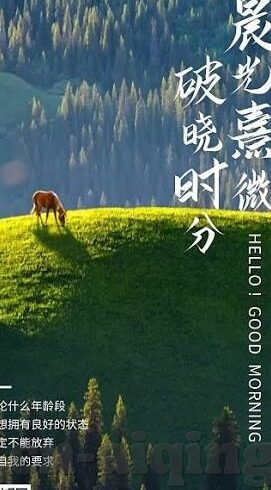 糖心app官网导航-关于糖心app的使用与安全保护指南
