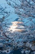 www.国产av麻豆-
