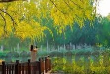 影音先锋中文字幕巨乳-影音先锋，中文字幕下的巨乳诱惑与文化探索